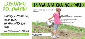 2012-10-14-insalata-nell'orto_