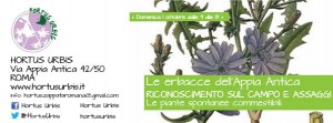 locandina-2017-10-01-piante-spontanee-02wit