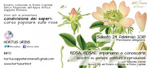 rosa-rosae-v-edizione-24-02-2018-01_72_it