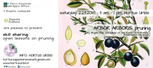 locandina-arbor-arboris-24-02-2018-04_72_en
